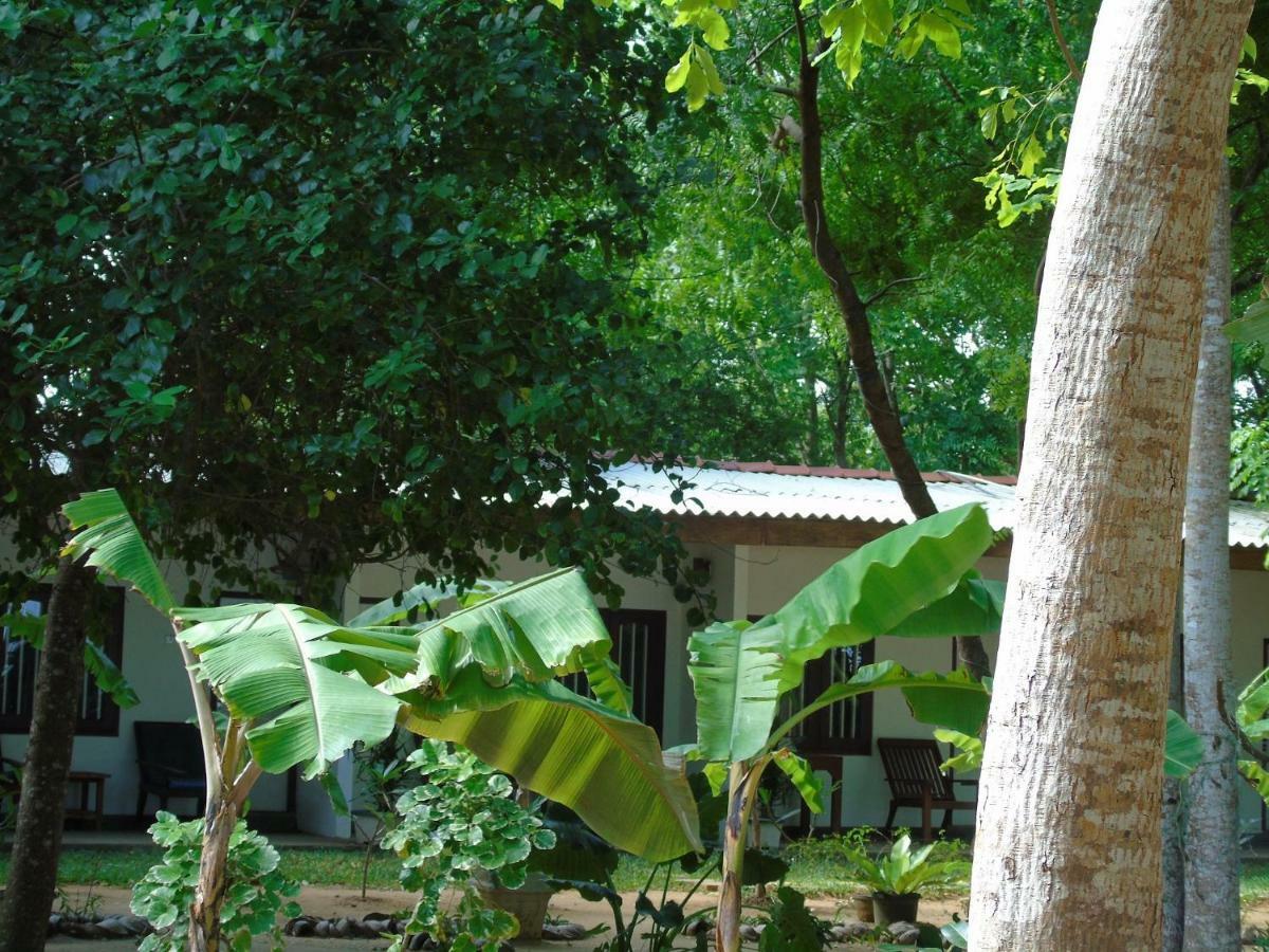 Talalla Coconut Hotel Exteriör bild