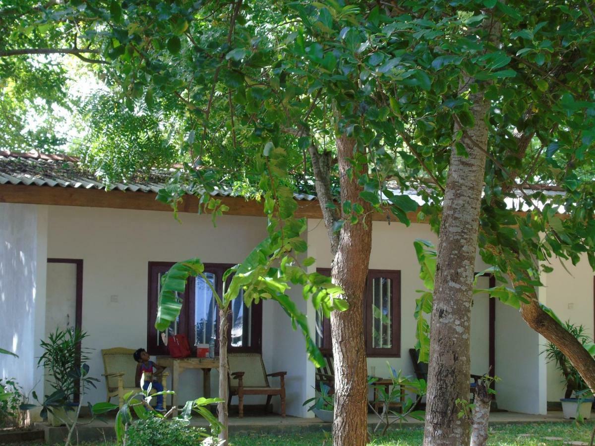 Talalla Coconut Hotel Exteriör bild